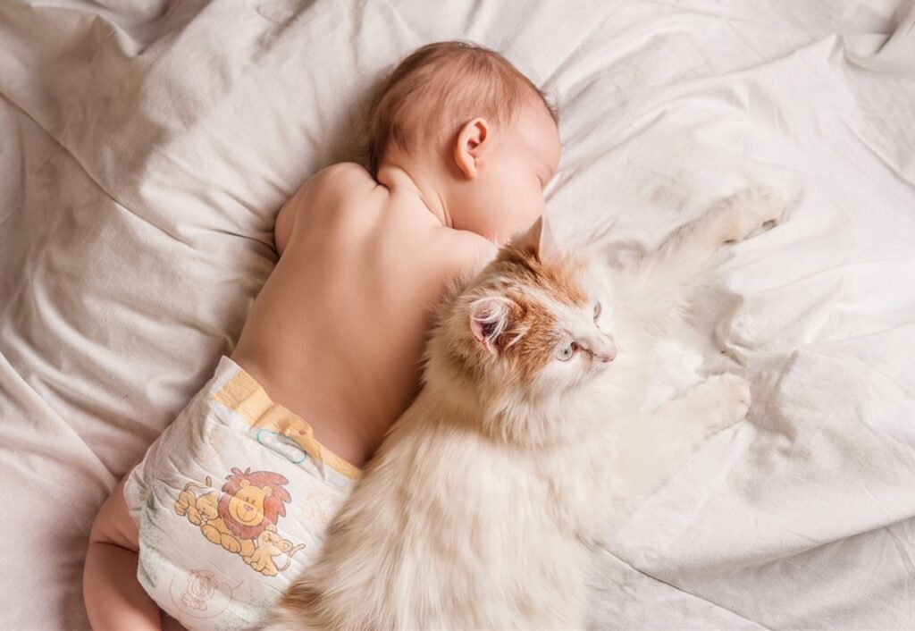 gatos y bebé